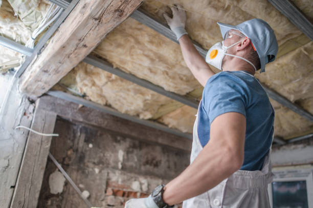 Types of Insulation We Offer in Polk City, FL